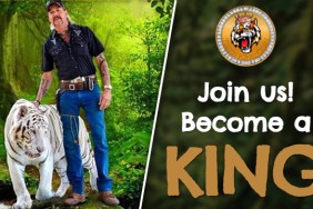 how to buy Tiger King Coin