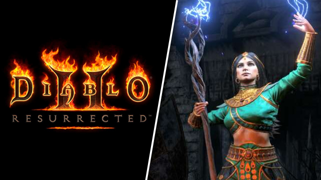 Diablo 2 Resurrected Online or Offline character