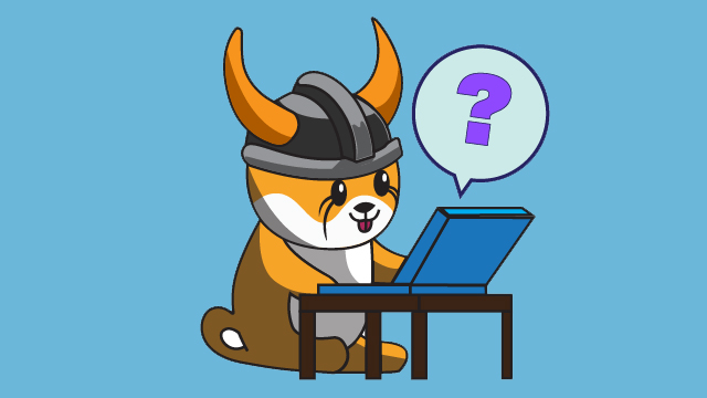 Floki Inu coin crypto