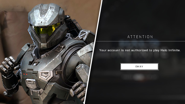 Halo Infinite Your account is not authorized