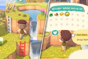 Animal Crossing New Horizons permanent ladder guide