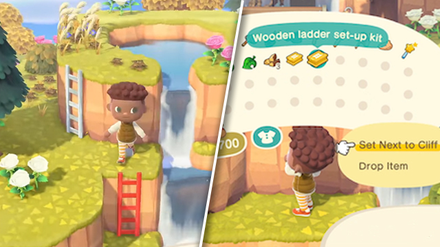 Animal Crossing New Horizons permanent ladder guide