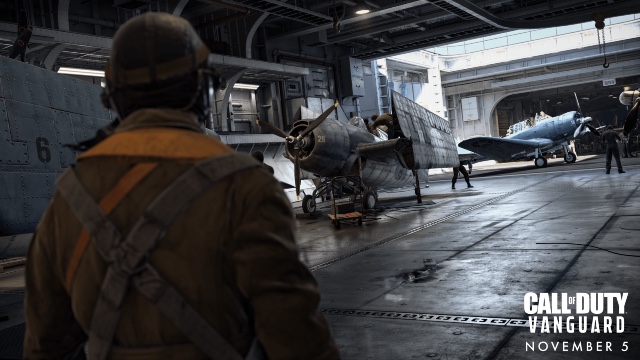 call of duty vanguard the application has unexpectedly stopped working