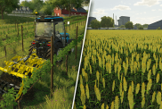 Farming Simulator 22 Best Crops to Plant
