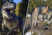 Jurassic World Evolution 2 Ensure Allosaurus is safely enclosed