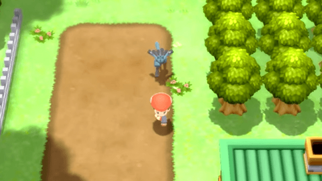 Pokemon Brilliant Diamond and Shining Pearl Walking Bug Fix: How to get  unstuck - GameRevolution