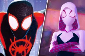 Spider-Man Across The Spider-Verse character