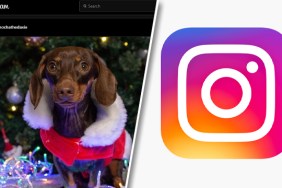 Instagram Playback 2021 Not Showing Fix