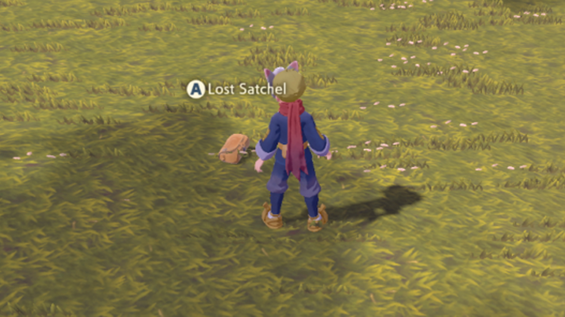 Pokemon Legends Arceus Lost And Found How to get back lost satchels