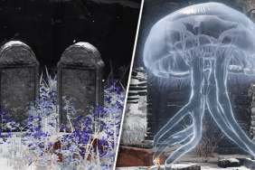 Elden Ring Stargazers Ruins Jellyfish Sisters Puzzle Sealed Door