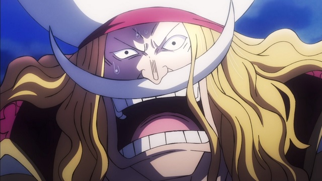 One Piece Episode 1024