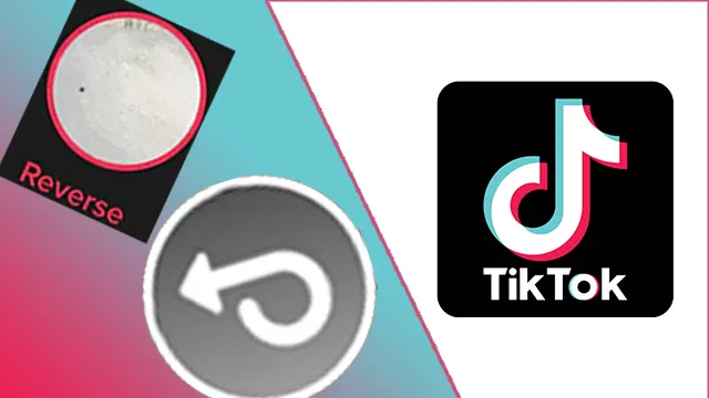TikTok Reverse Video and Audio Not Working Fix