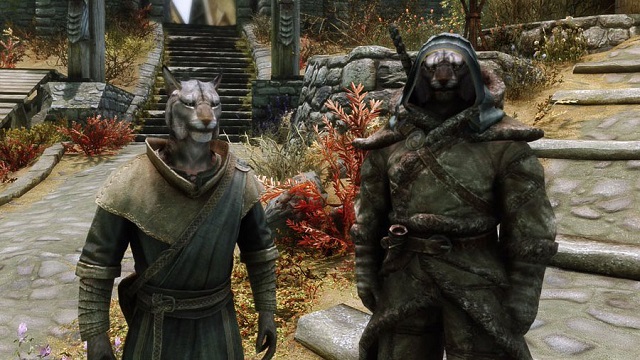 Tamriel Online is a mod aiming to bring co-op to Skyrim