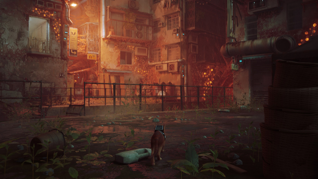 Stray Review: The Cat Game That Everyone Wants to Take Home PS5