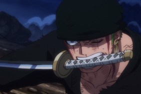One Piece Episode 1029
