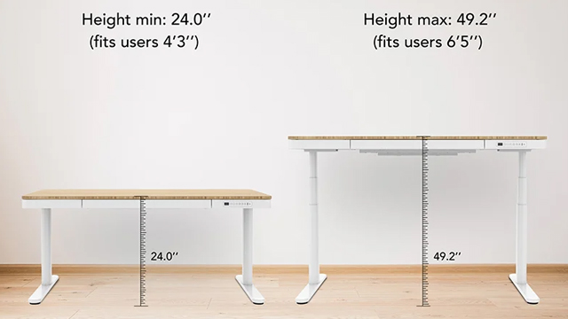 FlexiSpot Q8 Review