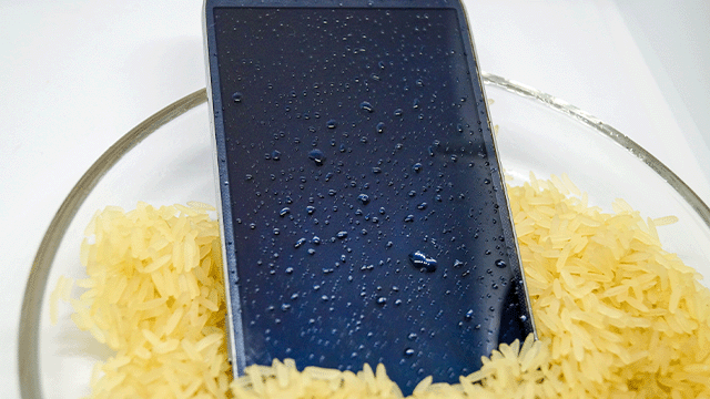 How to dry a phone