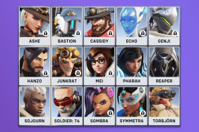 Overwatch characters locked bug heroes