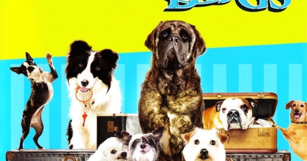 Hotel for Dogs News, Guides, Walkthrough, Screenshots, and Reviews GameRevolution