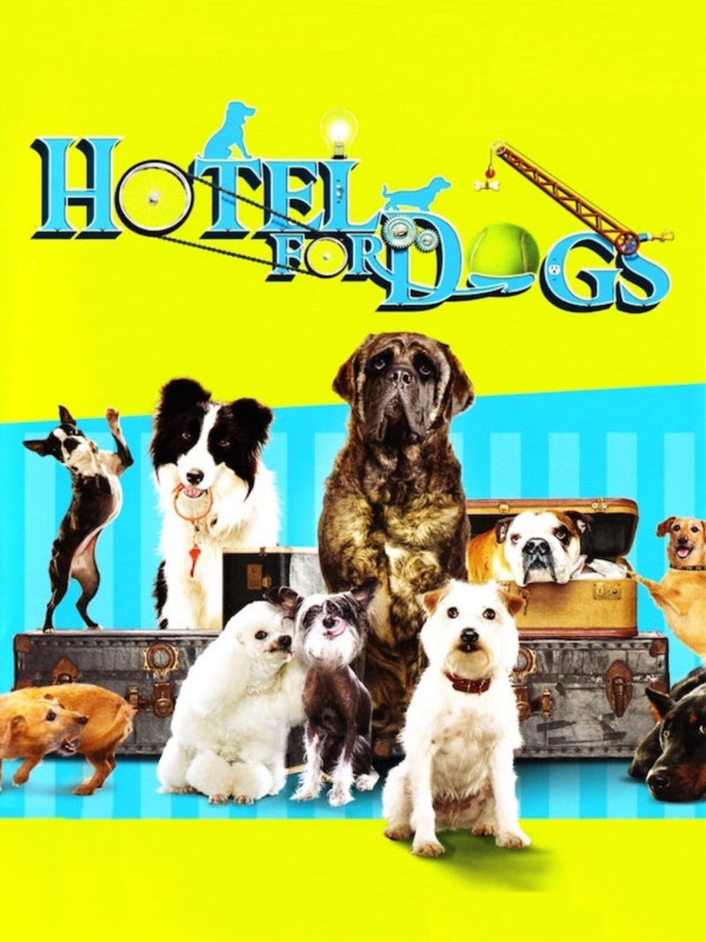 Hotel for Dogs News, Guides, Walkthrough, Screenshots, and Reviews