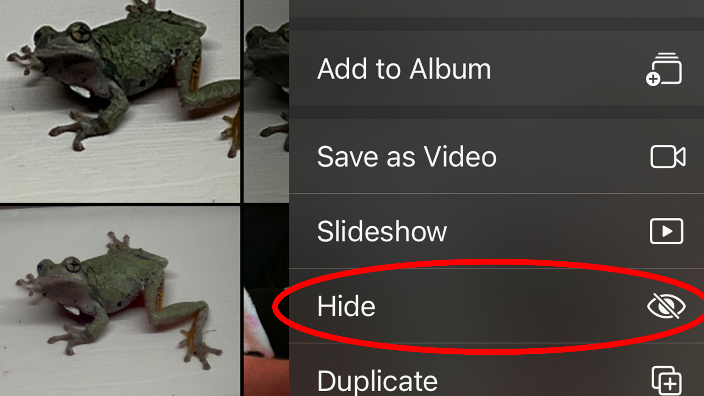 How to hide photos on iOS 16 5