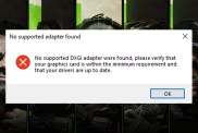 Modern Warfare 2 'No DXGI Adapter Found Found' PC Fix