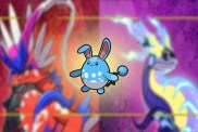 Pokemon Scarlet and Violet Azumarill Belly Drum