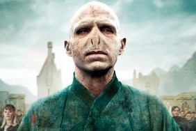 hbo max voldemort series harry potter show