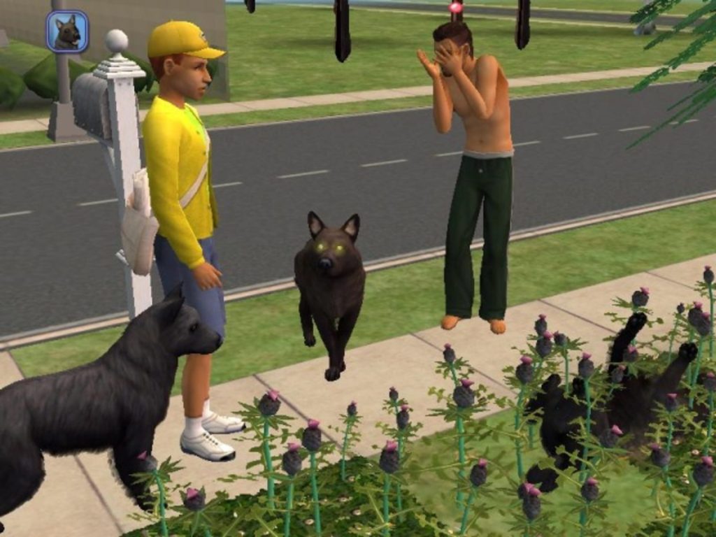 The Sims 2 Pets,Sims 2 Pets, The News, Guides, Walkthrough