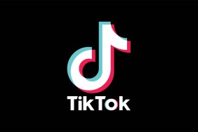 When is TikTok being banned pulled from download