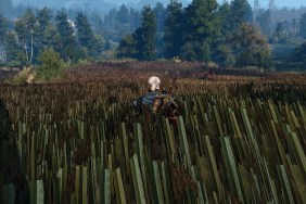 The Witcher 3 Next-Gen Update How to Remove