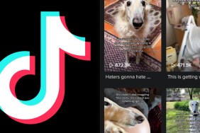 TikTok Borzoi Dog Song
