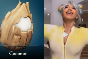 coconut challenge 1