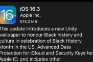 ios 16.3