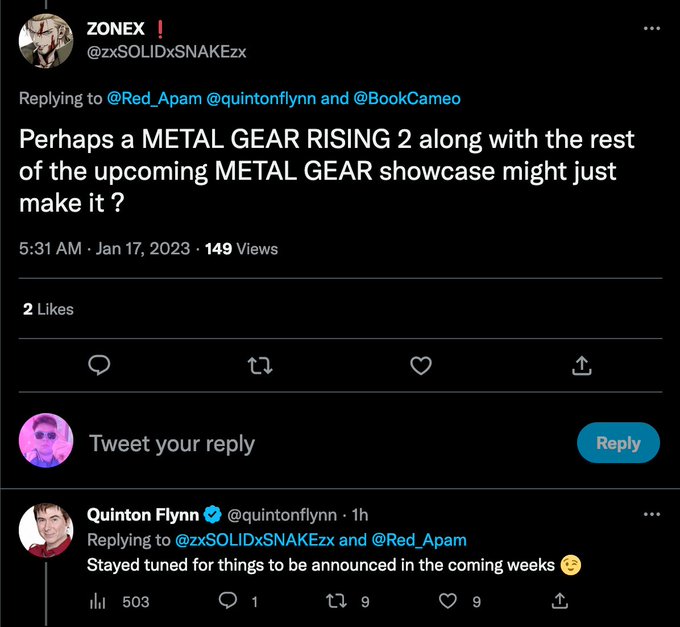 Metal Gear Solid news, maybe Metal Gear Rising 2, teased by Raiden VA