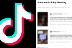 tiktok platinum birthday meaning