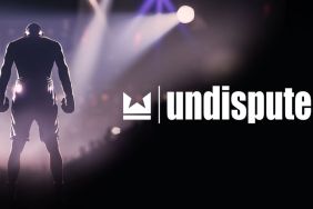 silhoutte of a boxer standing next to the undisputed logo