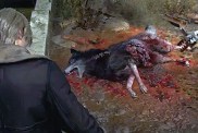 Resident Evil 4 Remake Save Dog Help Wolf