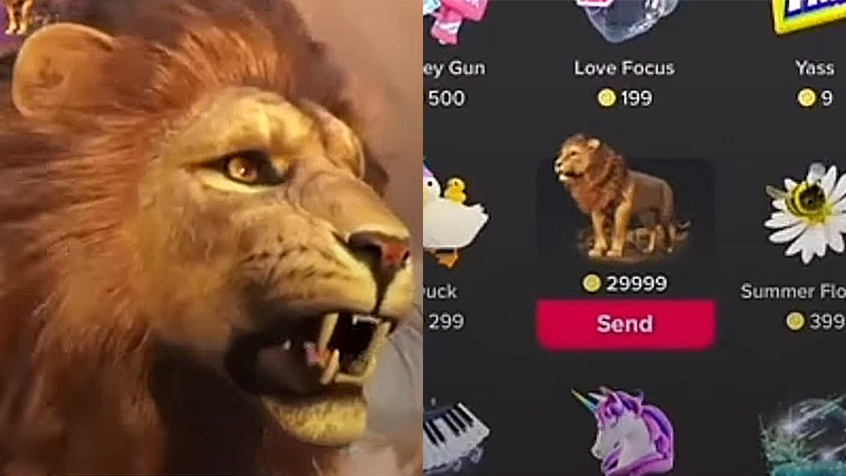 TikTok Lions Price: How Much Is the Lion Worth in US $ And UK £? -  GameRevolution