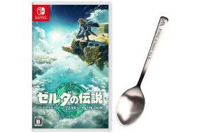 zelda tears of the kingdom spoon