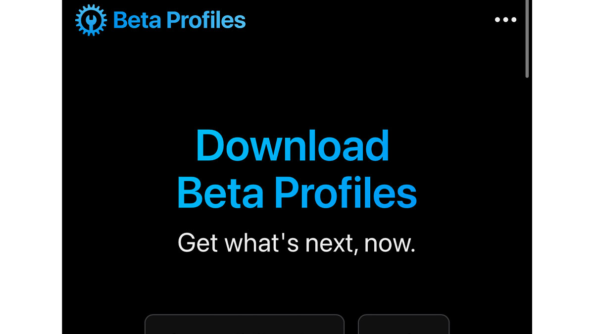 Beta Profile Website