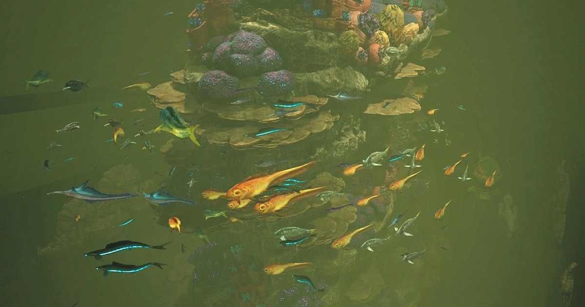 Star Wars Jedi Survivor How to Clean the Aquarium GameRevolution