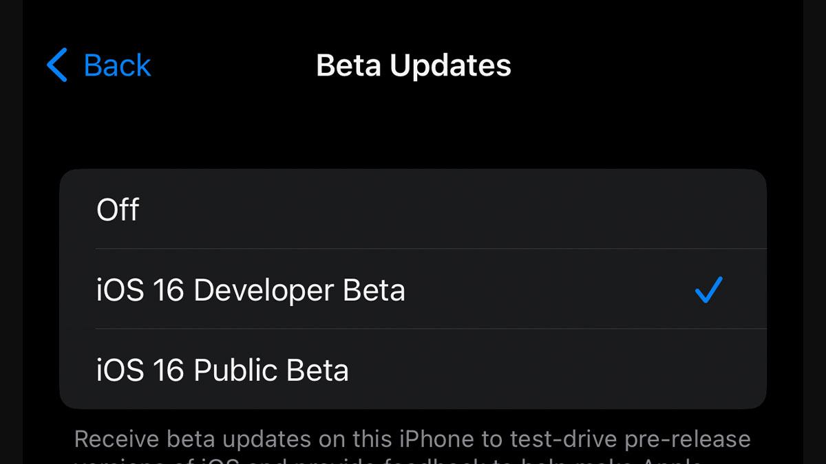 iOS Beta Update Selection