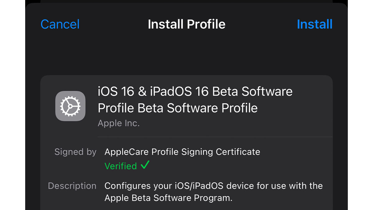 iOS Profile Install Screen