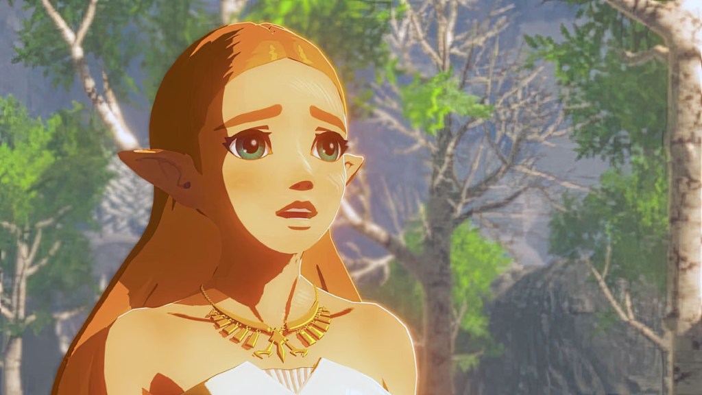 Breath of the Wild 2: Is Zelda a playable character or the hero? -  GameRevolution