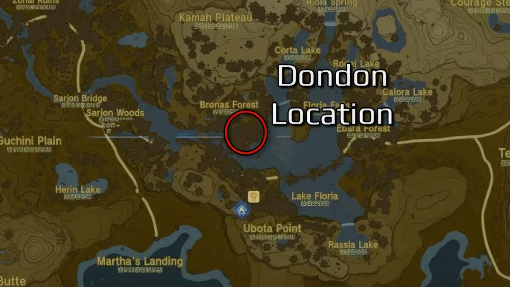 Zelda Tears of the Kingdom Dondon Location