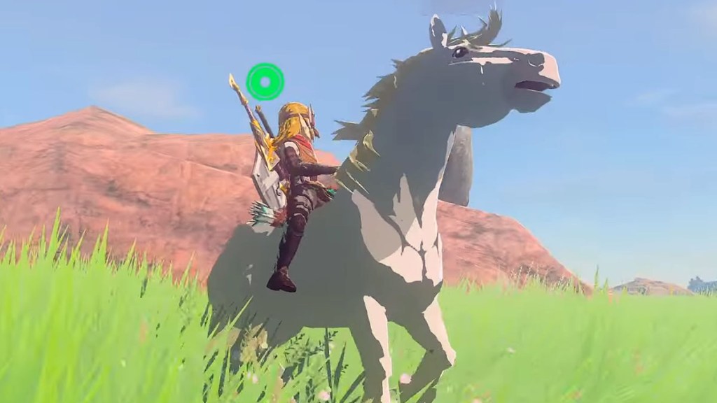 Zelda Tears of the Kingdom Special Horse Zelda White Stallion