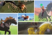 Zelda Tears of the Kingdom Special Horses All Unique Mount Locations