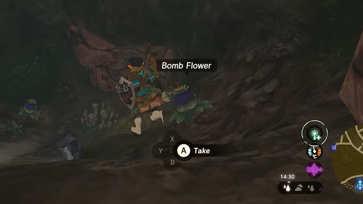 Zelda Tears of the Kingdom Bomb Flowers Where Can You Buy Them