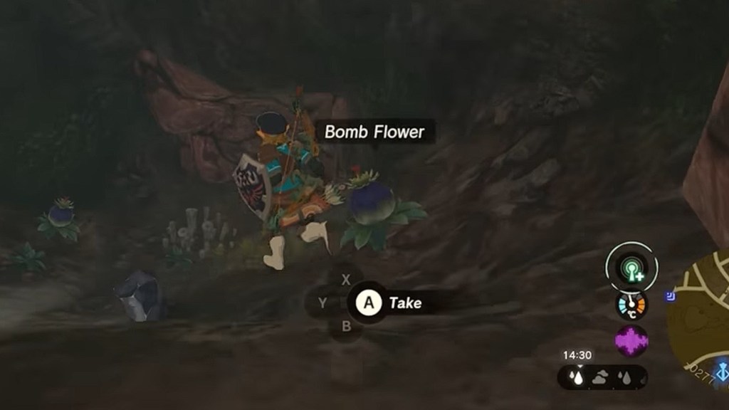 Zelda: Tears of the Kingdom Bomb Flowers Where to Buy
